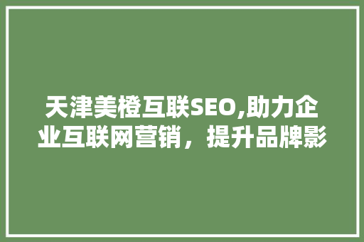 天津美橙互联SEO,助力企业互联网营销，提升品牌影响力  第1张