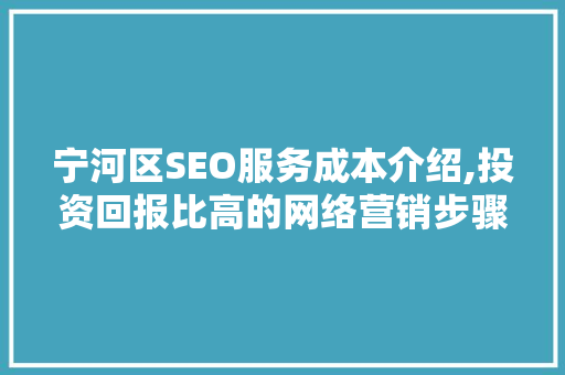 宁河区SEO服务成本介绍,投资回报比高的网络营销步骤