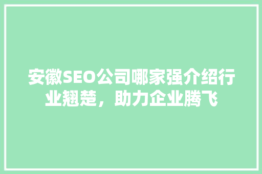 安徽SEO公司哪家强介绍行业翘楚，助力企业腾飞