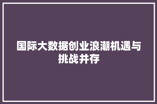 国际大数据创业浪潮机遇与挑战并存  第1张
