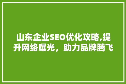 山东企业SEO优化攻略,提升网络曝光，助力品牌腾飞