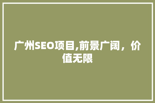 广州SEO项目,前景广阔，价值无限