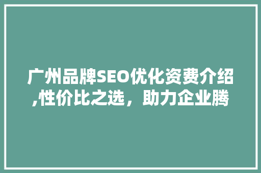 广州品牌SEO优化资费介绍,性价比之选，助力企业腾飞