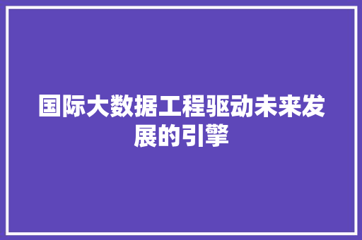 国际大数据工程驱动未来发展的引擎  第1张
