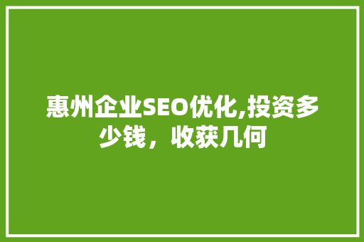 惠州企业SEO优化,投资多少钱，收获几何