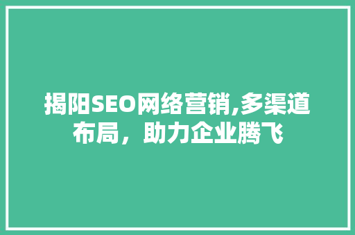 揭阳SEO网络营销,多渠道布局，助力企业腾飞