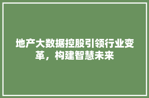 地产大数据控股引领行业变革，构建智慧未来