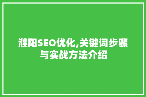 濮阳SEO优化,关键词步骤与实战方法介绍