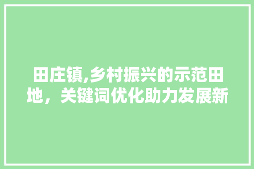 田庄镇,乡村振兴的示范田地，关键词优化助力发展新篇章