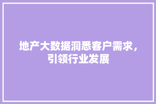 地产大数据洞悉客户需求，引领行业发展  第1张