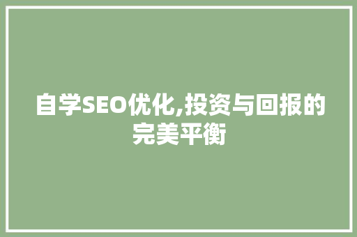 自学SEO优化,投资与回报的完美平衡