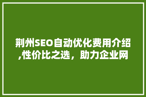 荆州SEO自动优化费用介绍,性价比之选，助力企业网络营销新高度