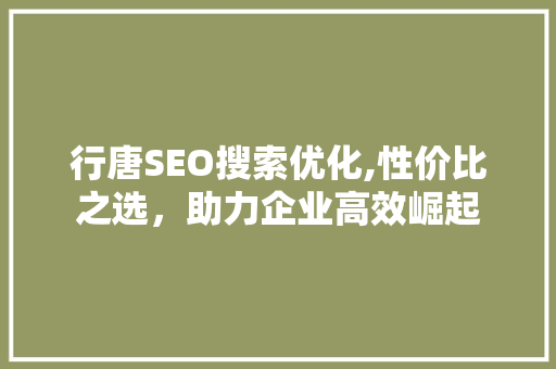 行唐SEO搜索优化,性价比之选，助力企业高效崛起