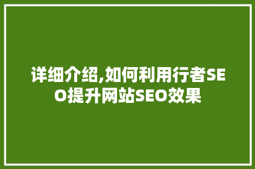 详细介绍,如何利用行者SEO提升网站SEO效果