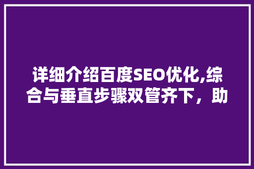 详细介绍百度SEO优化,综合与垂直步骤双管齐下，助力企业提升网络竞争力