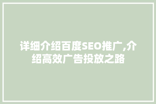 详细介绍百度SEO推广,介绍高效广告投放之路