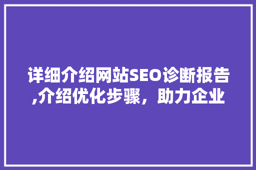 详细介绍网站SEO诊断报告,介绍优化步骤，助力企业高效提升排名