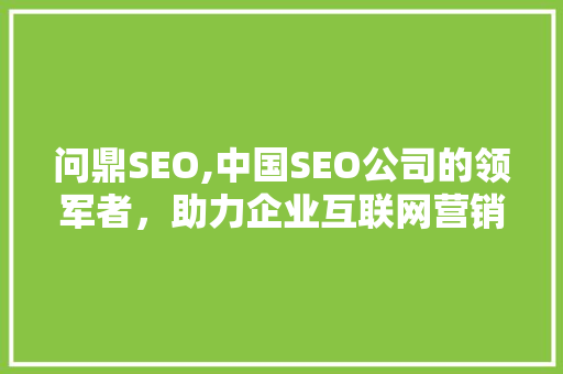 问鼎SEO,中国SEO公司的领军者，助力企业互联网营销腾飞  第1张