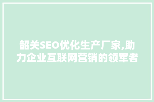 韶关SEO优化生产厂家,助力企业互联网营销的领军者
