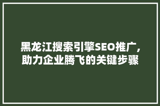 黑龙江搜索引擎SEO推广,助力企业腾飞的关键步骤