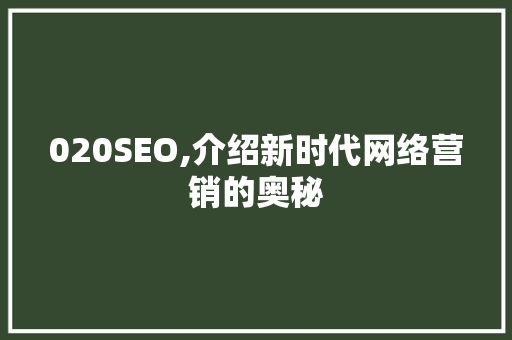 020SEO,介绍新时代网络营销的奥秘