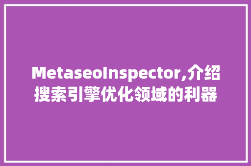 MetaseoInspector,介绍搜索引擎优化领域的利器
