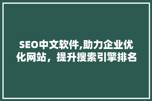 SEO中文软件,助力企业优化网站，提升搜索引擎排名
