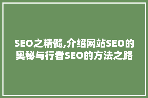 SEO之精髓,介绍网站SEO的奥秘与行者SEO的方法之路