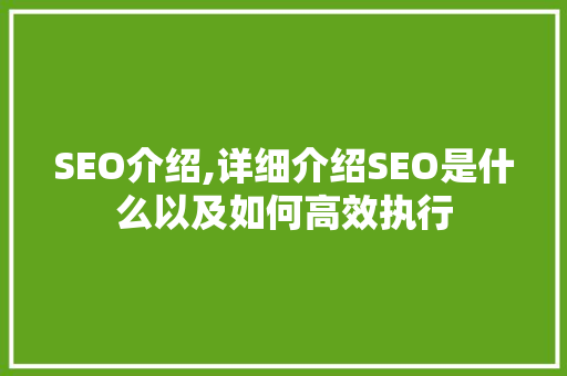 SEO介绍,详细介绍SEO是什么以及如何高效执行