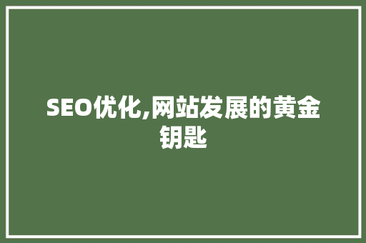 SEO优化,网站发展的黄金钥匙