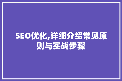 SEO优化,详细介绍常见原则与实战步骤