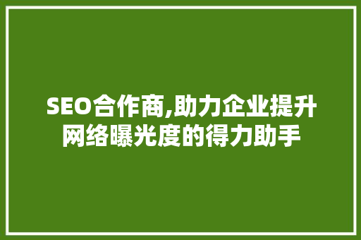 SEO合作商,助力企业提升网络曝光度的得力助手