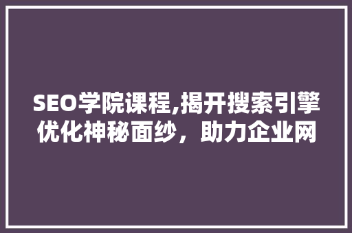 SEO学院课程,揭开搜索引擎优化神秘面纱，助力企业网站排名提升