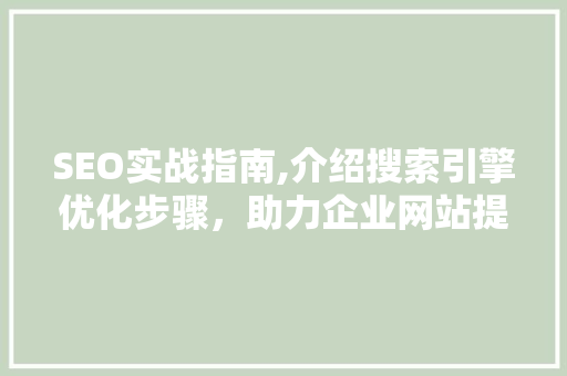 SEO实战指南,介绍搜索引擎优化步骤，助力企业网站提升排名