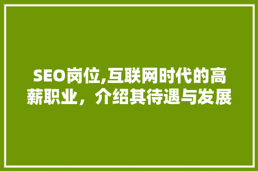 SEO岗位,互联网时代的高薪职业，介绍其待遇与发展前景