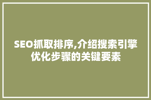SEO抓取排序,介绍搜索引擎优化步骤的关键要素