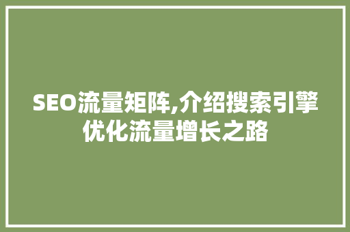 SEO流量矩阵,介绍搜索引擎优化流量增长之路