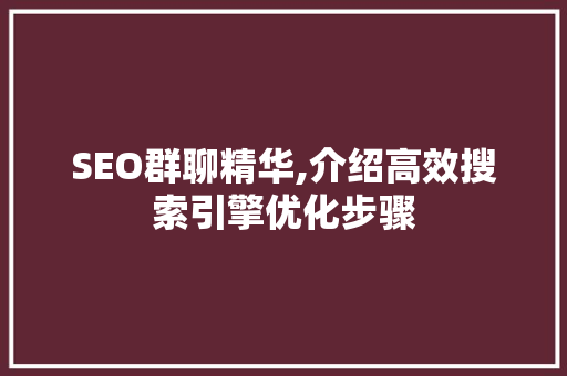 SEO群聊精华,介绍高效搜索引擎优化步骤