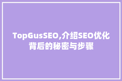 TopGusSEO,介绍SEO优化背后的秘密与步骤