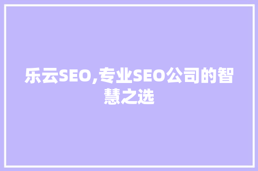 乐云SEO,专业SEO公司的智慧之选