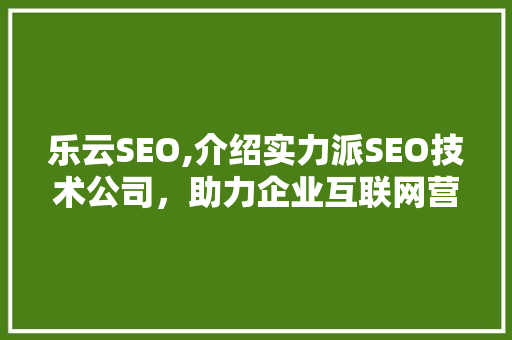 乐云SEO,介绍实力派SEO技术公司，助力企业互联网营销新篇章