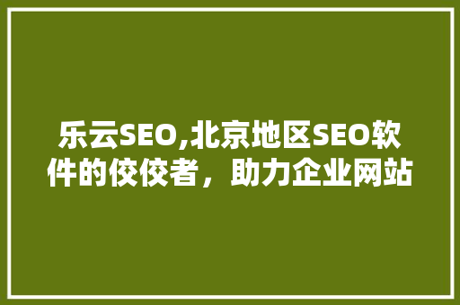 乐云SEO,北京地区SEO软件的佼佼者，助力企业网站优化脱颖而出