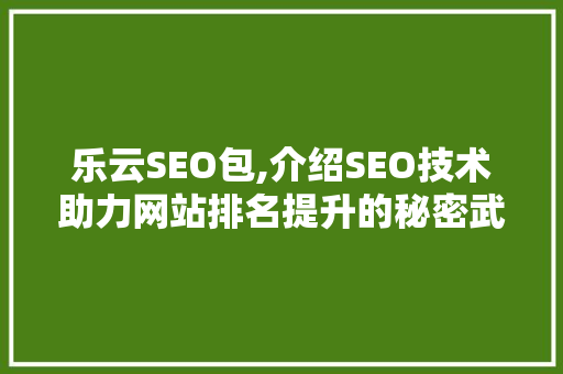 乐云SEO包,介绍SEO技术助力网站排名提升的秘密武器