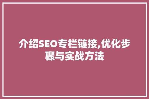 介绍SEO专栏链接,优化步骤与实战方法