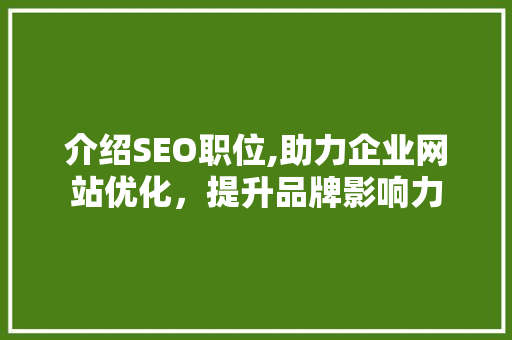 介绍SEO职位,助力企业网站优化，提升品牌影响力