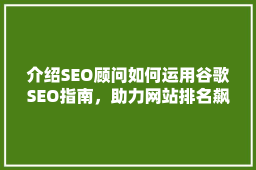 介绍SEO顾问如何运用谷歌SEO指南，助力网站排名飙升