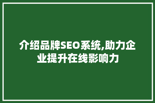 介绍品牌SEO系统,助力企业提升在线影响力  第1张