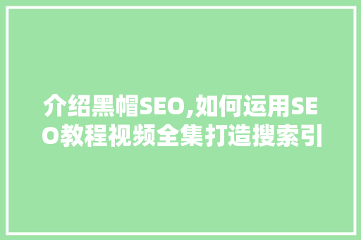 介绍黑帽SEO,如何运用SEO教程视频全集打造搜索引擎优化步骤