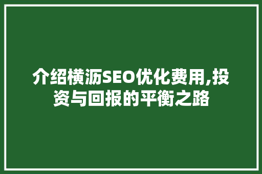 介绍横沥SEO优化费用,投资与回报的平衡之路