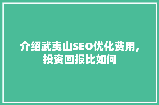 介绍武夷山SEO优化费用,投资回报比如何